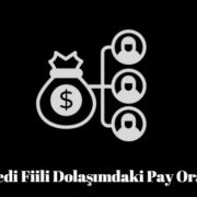 hisse senedi fiili dolaşımdaki pay oranı nedir
